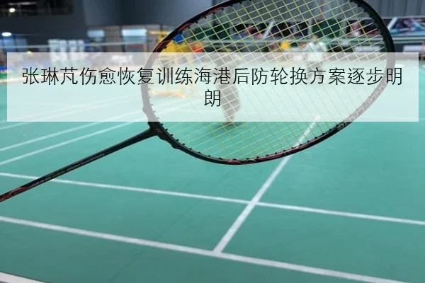 张琳芃伤愈恢复训练海港后防轮换方案逐步明朗